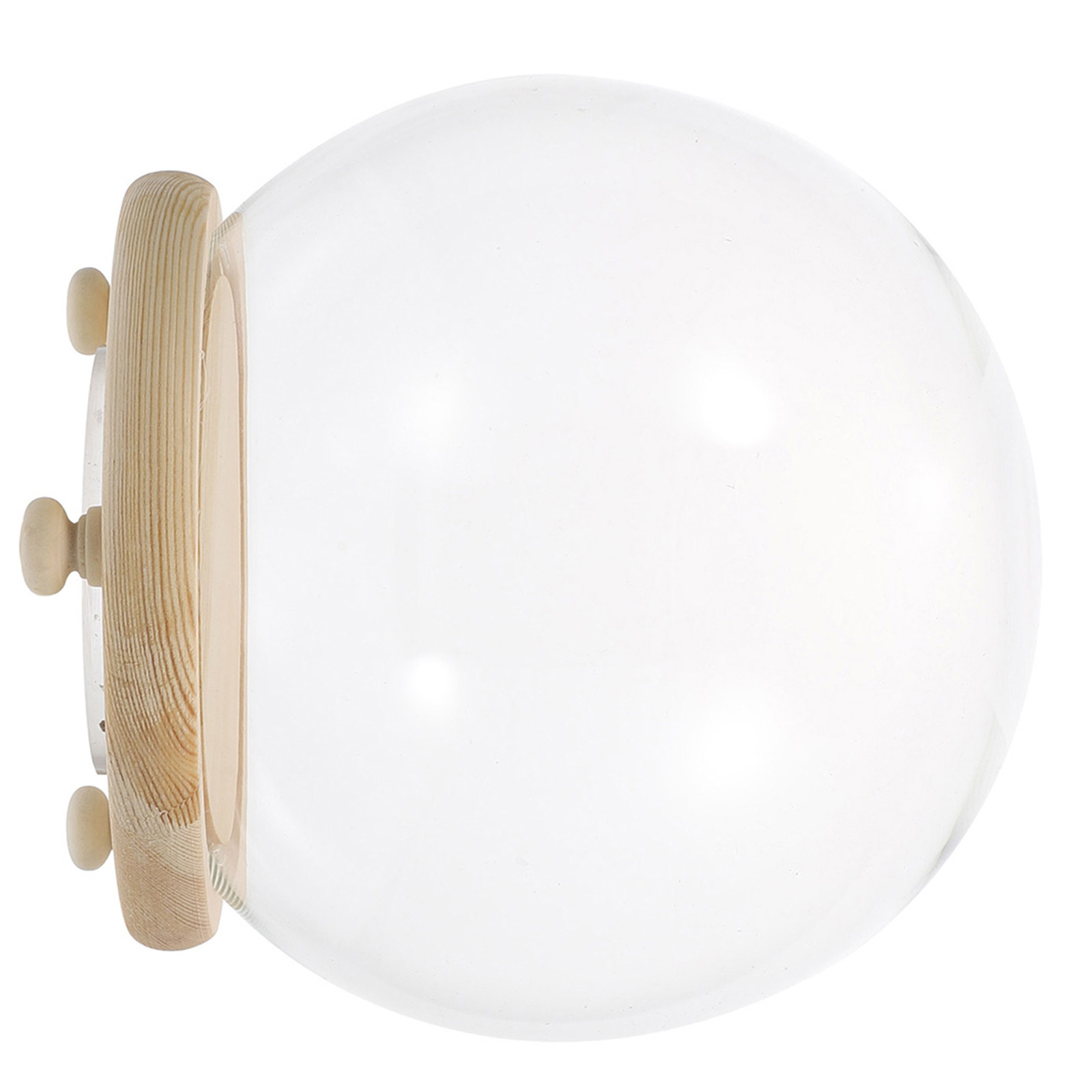 Preserved Flower Glass Dome Cl - Plastic Dome Clear ulasan dan harga