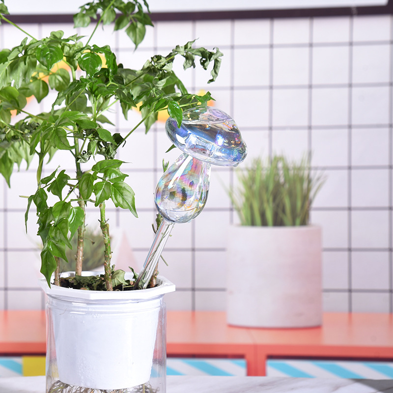 1/2PCS Glass Straw Automatic P - Self Watering Insert ulasan dan harga
