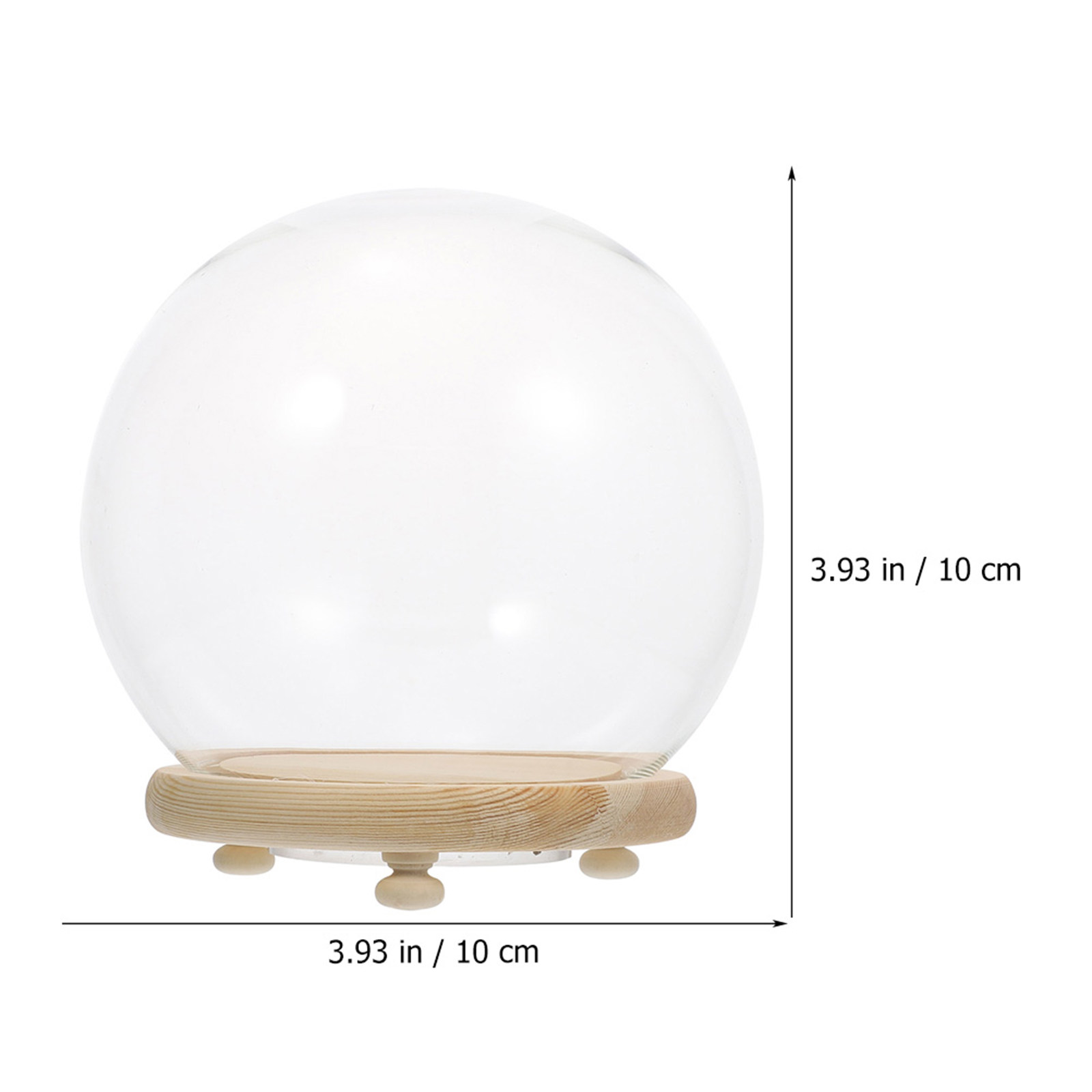 Glass Dome Display Case Preser - Plastic Dome Clear ulasan dan harga