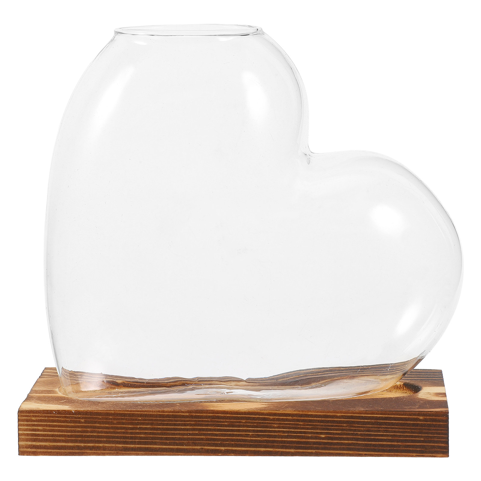 Hydroponic Glass Vase Transpar - Propagation Station Vase ulasan dan harga