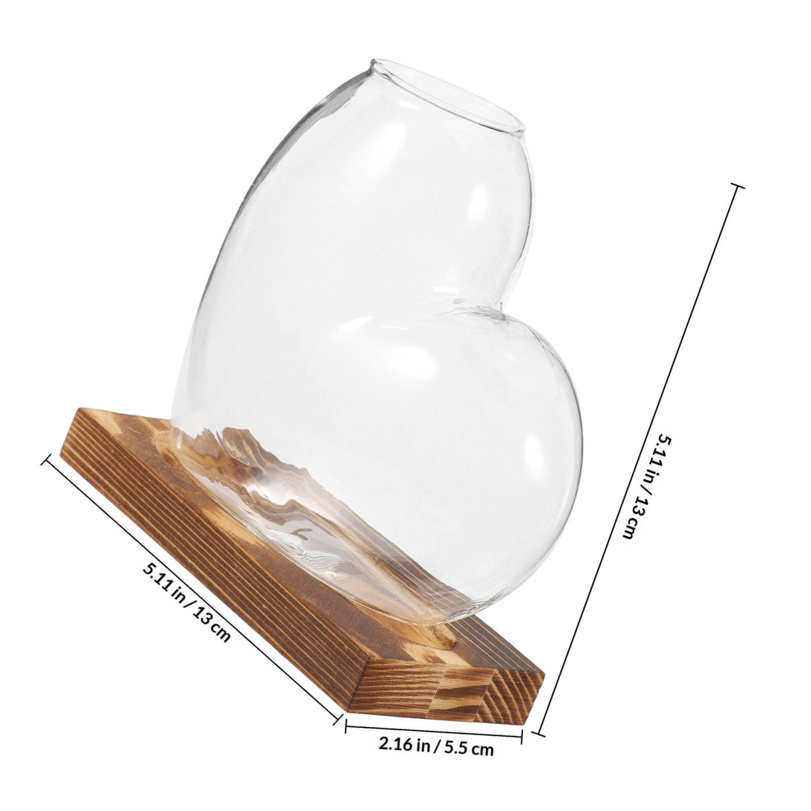 Hydroponic Glass Vase Transpar - Propagation Station Vase ulasan dan harga