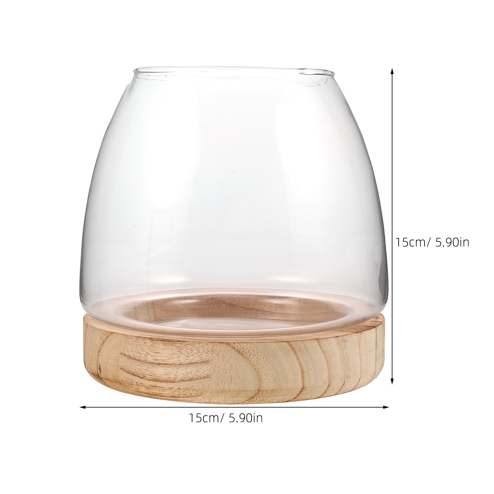 Hydroponic Plant Vase Small Gl - Propagation Station Vase ulasan dan harga